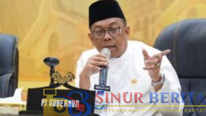Pj Gubri