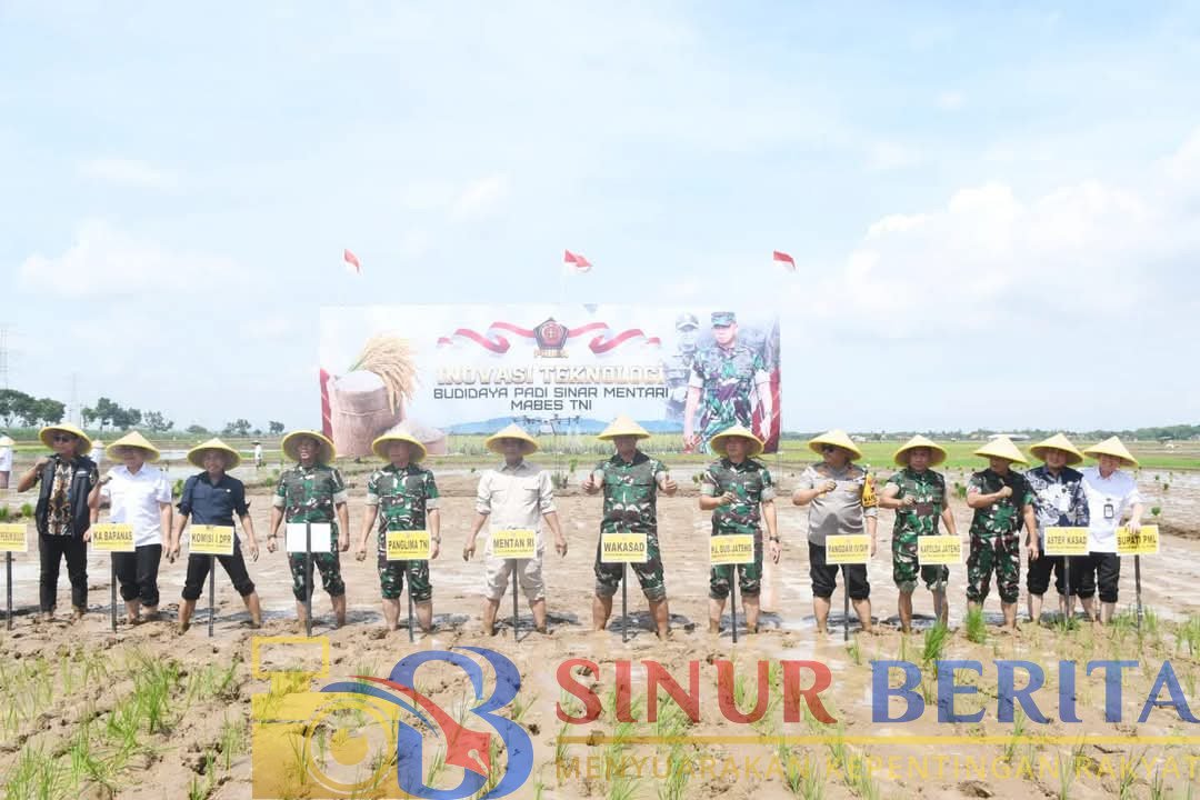 FB_IMG_1734740907017