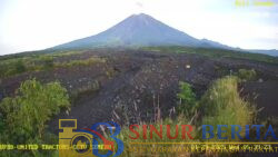 IMG-20250129-WA0041