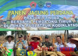 IMG-20250211-WA0049