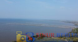 Screenshot_2025-02-05-21-05-03-267-edit_com.android.chrome