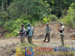 hutan lincdung inhu