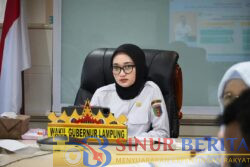 FB_IMG_1741189320152