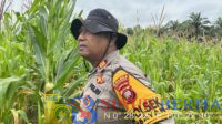 IMG-20250719-WA0000
