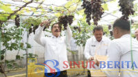 menteri imipas2