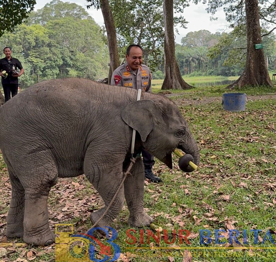 Kapolda Riau Irjen Pol Herry Heryawan
