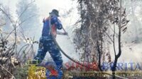 Satgas Darat Lanud Sjamsudin Noor memperkuat pembasahan dan pendinginan lahan gambut di Banjarbaru untuk menekan potensi munculnya kembali titik api dan asap akibat karhutla.