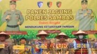 IMG-20260902-WA0291
