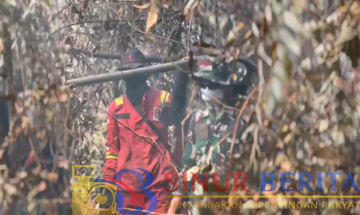 Karhutla di Desa Pulau Jum'at, Kuala Cenaku, Inhu, masih ditangani. Satgas gabungan TNI-Polri dan instansi terkait terus melakukan pemadaman dan pendinginan untuk mencegah api meluas.