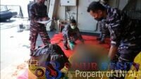 Tim SAR Gabungan menemukan dan mengevakuasi 15 jenazah korban KM Virgo Transport 8 yang tenggelam di Perairan Masalembo, Laut Jawa.