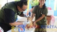 Petugas menyuntikkan vaksin kepada anabul di Halaman Kantor Kecamatan Neglasari, Kota Tangerang, Provinsi Banten.