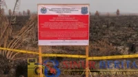 KLH/BPLH menyegel lahan bekas kebakaran PT Sinar Karya Mandiri di Kabupaten Ketapang, Kalimantan Barat. (Kemen LH)