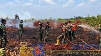 Kodam XIX/Tuanku Tambusai bersama tim gabungan terus menangani karhutla di Inhil dan Inhu melalui pemadaman dan pendinginan untuk mencegah api meluas.