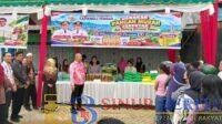 Sinurberita Pemkab Tapteng