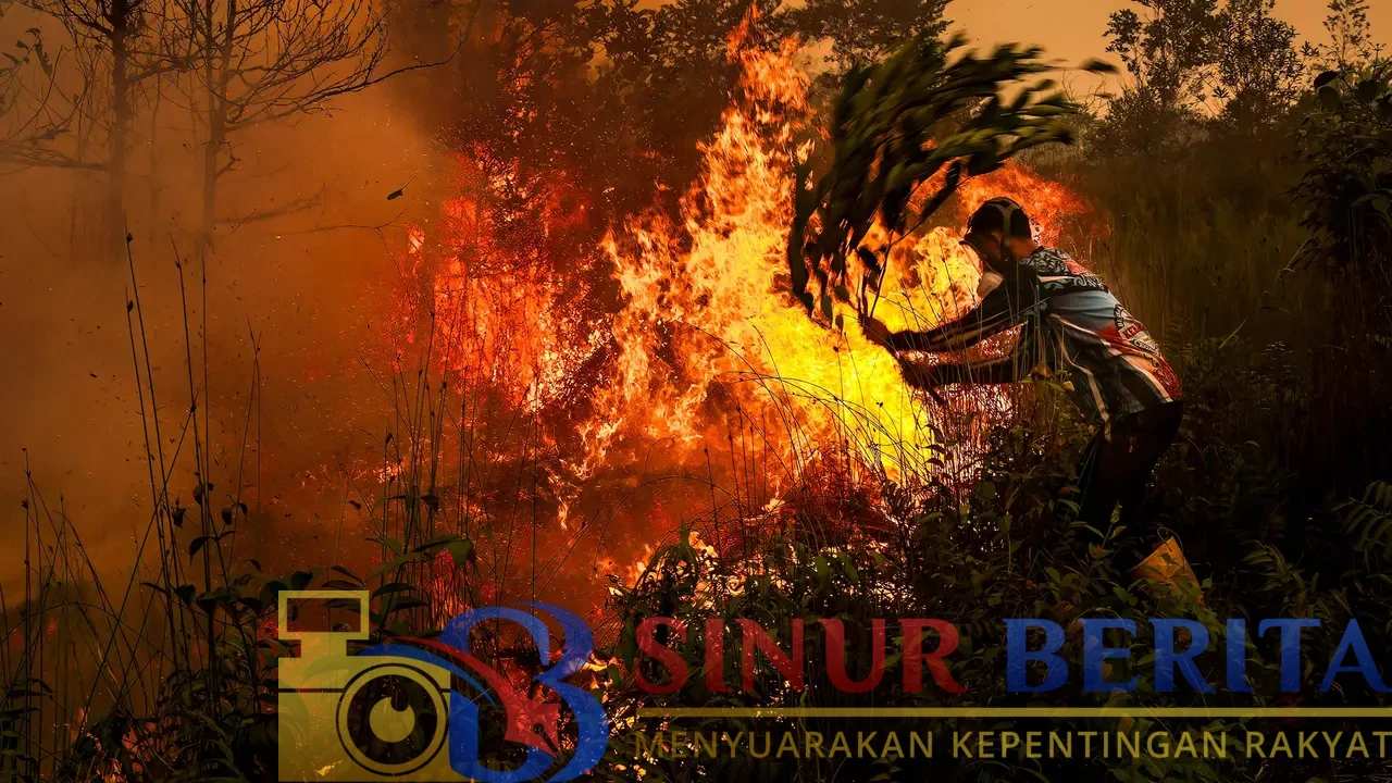karhutla palangkaraya